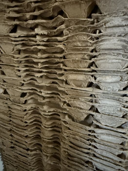 Продам лотки для яиц