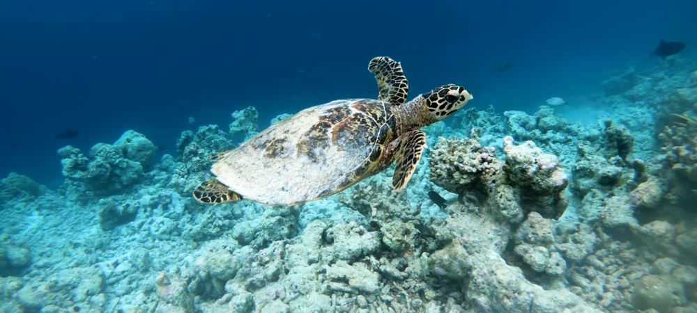 Продам Самсунг а52