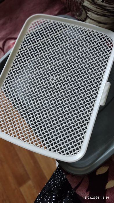 Лоток для животных