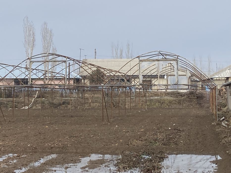 Issiqxona sotiladi 4.3 sotix 18/24 joyi sotigi 5 milyon 2019 qurlgn