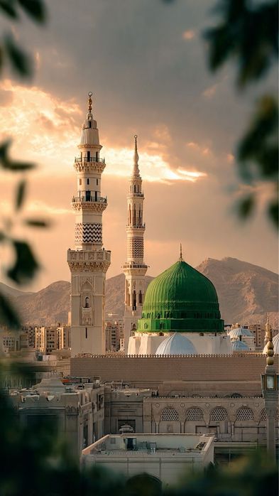 Tajribali guruh bilan xotirjam safar!  UMRA SAFARI YANVAR