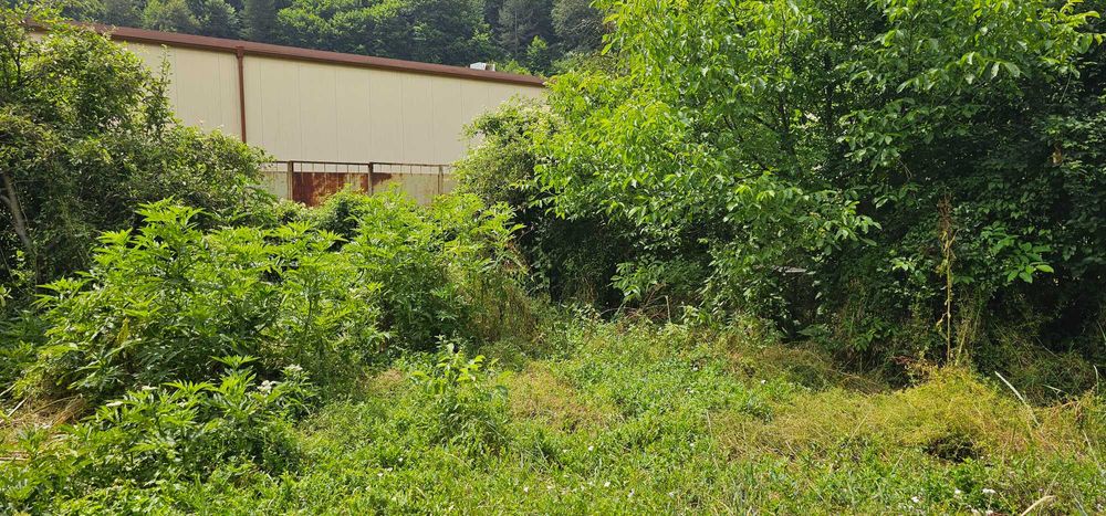 Продава се Къща в Трън - 188 кв.м за 339 €/кв.м - Снимка #3