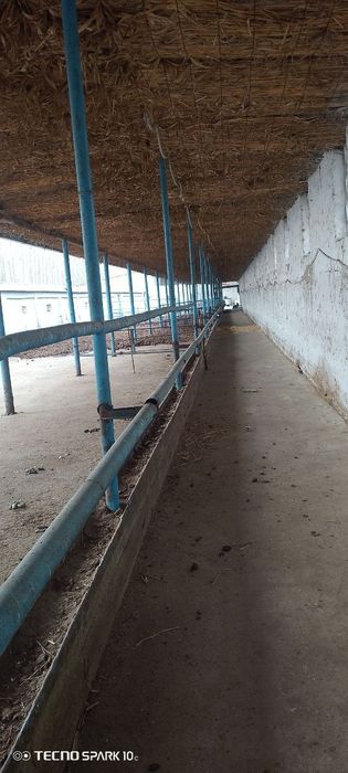 Срочно сотилади. 25 соток Нежилой жой. Толов исталган усулда.