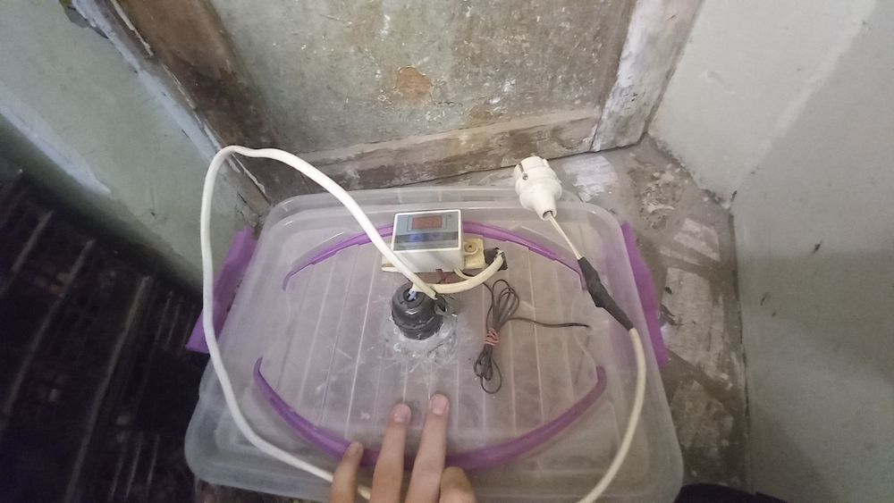 Qo'lbola yasalgan tovuq tuxumi uchun inkubator 25-30 tacha tuxumga