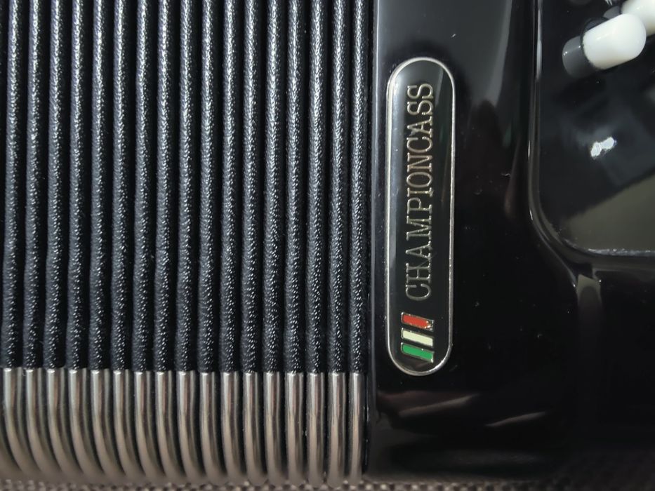 Acordeon Bugari Armando 2+2