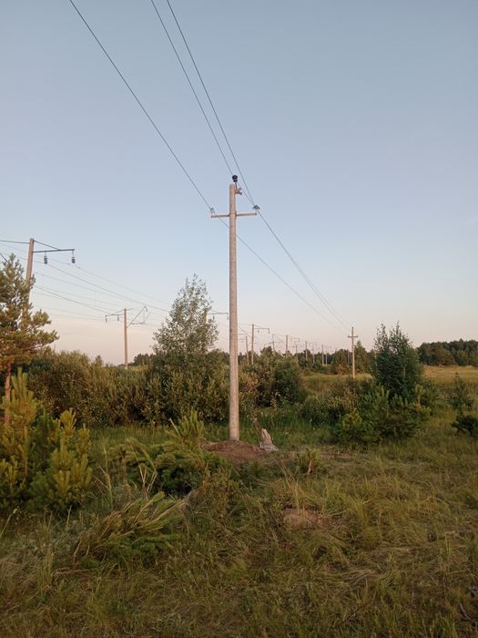 Работа по электричеству