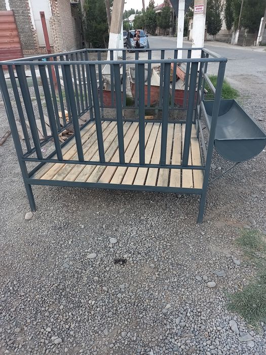 Куй катаг куй хона