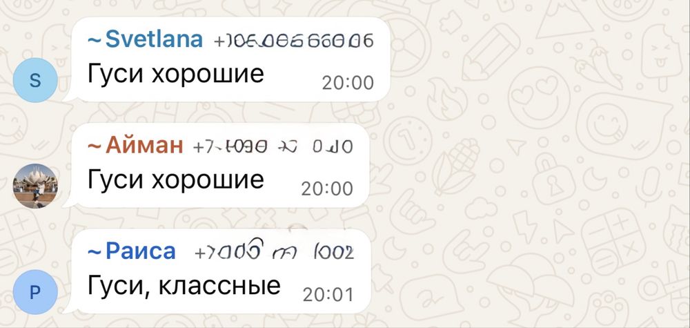 Гуси оптом, қаздар