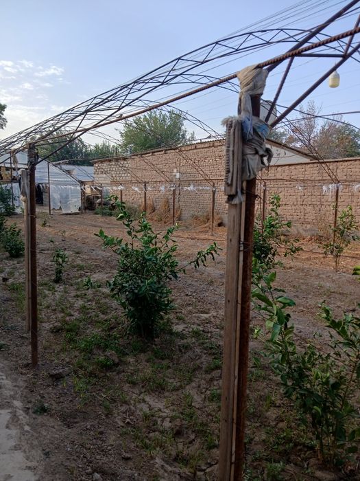 Termiz shahar Kattabog' mahallasi Navbaxor kóchasi 62 uy