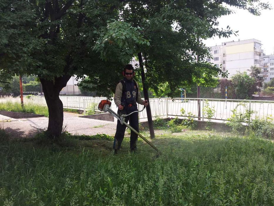 Косене на трева и поддръжка на дворове в София – бързо и качествено