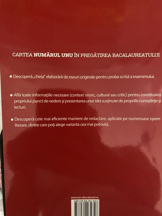 Eseul si teste bacalaureat romana