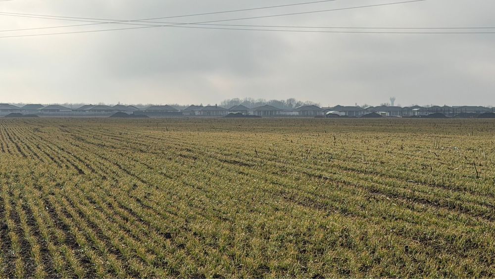 Teren Balotesti zona vile langa Edenland Park spitalul SRI
