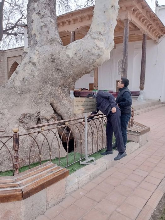 Загородная, горная экскурсия.
