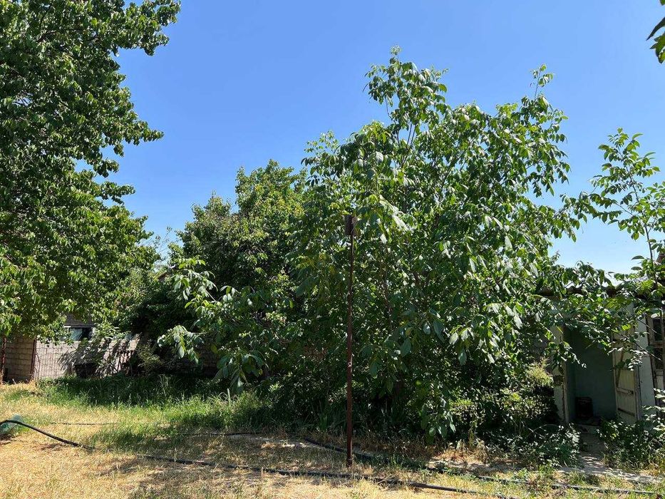 Продается Дача Ташморе