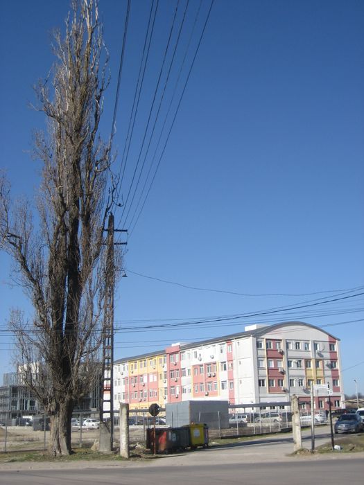 canon ixus 60 retro digital