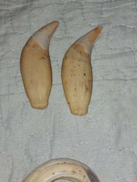 De vanzarece se vede an poza