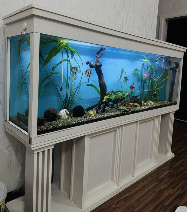 Аквариум для дом