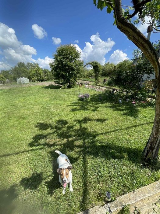 Къща/вила близо до град Шумен и Хитрино