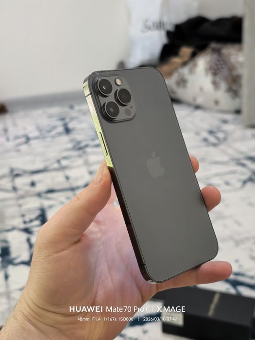 iPhone 12 pro max idial.