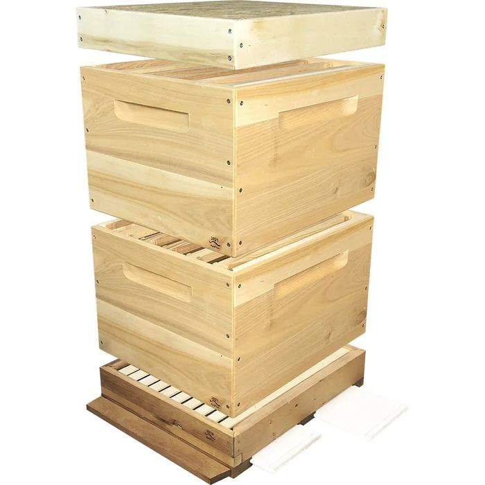 Asalari yashshiklar Rasiskiy sasna taxtadan