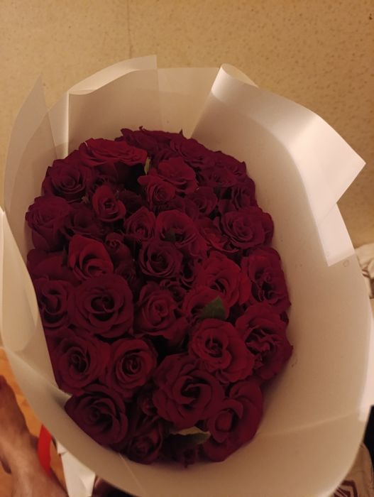 Гүл,Цветы,Flower