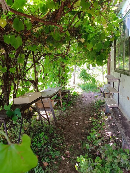 Продам дачу 3 общество