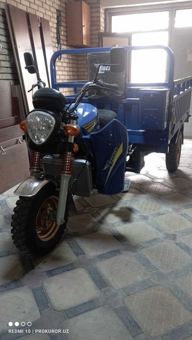 Продам муравей lochin