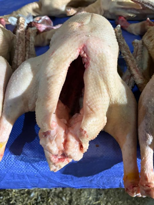 Гусыни  қаз еті сатылады