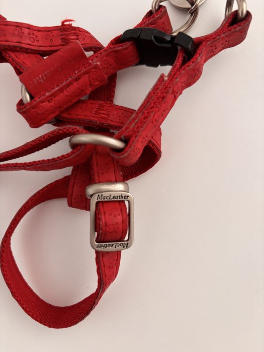 Lesa catel/ pisica marime S