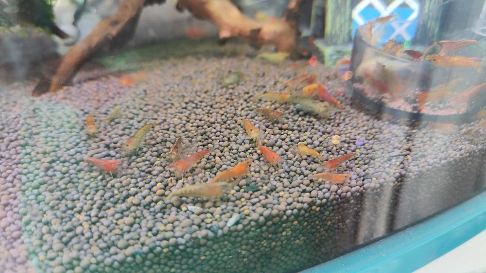 Аквагрунт для аквариума