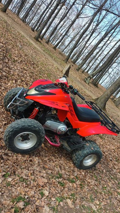 Vand atv dinli 300cc