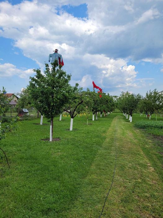 Proprietar ofer la vanzare vila in Giarmata,Timis