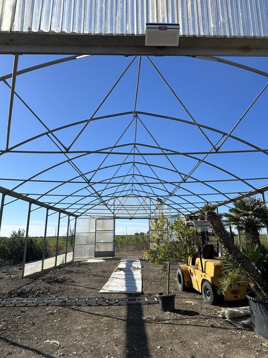 Sera profesionala FILCLAIR