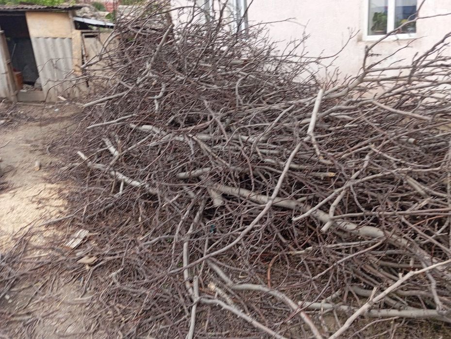 Дрова орехового дерева