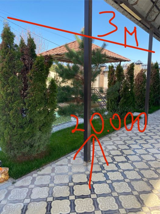 Елки и Деревья