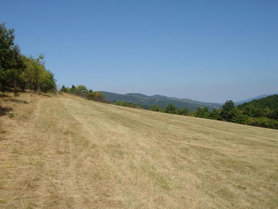 Парцел 3 000 м2 с. Белиш Троян с ПУП