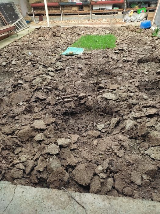 Қўй гўнги бепул бепул