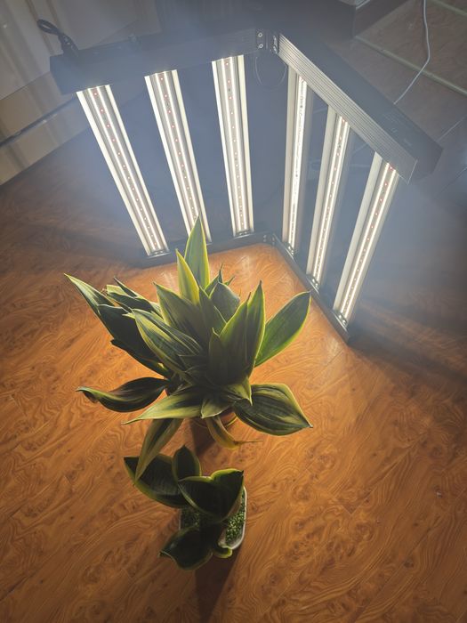 LED Grow Light Full Spectrum 320W Для Всех Видов Растений, ЛАМПА ЛЭД