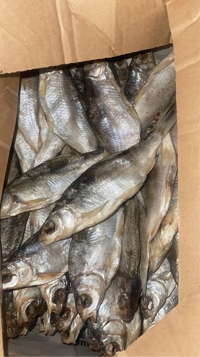 вобла атырау свежий