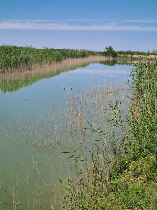 Земля! Продам 6,4 га земли.