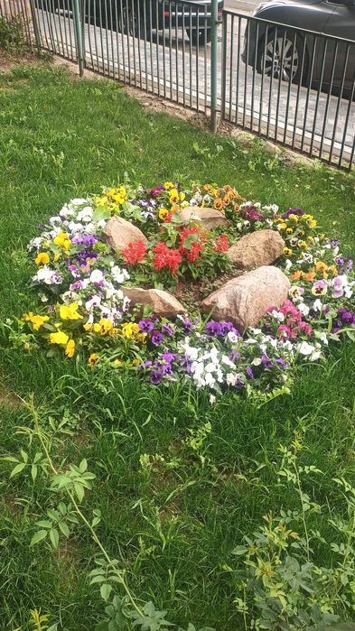 Amenajari terase și grădini. Curățare si toaletare pomi. Întreținere