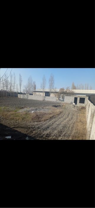 uyjoy qoqon shaxarda