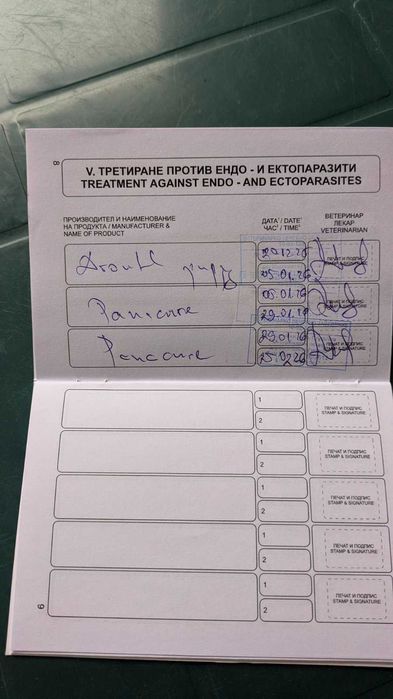 Продавам мини йорки ,черни перли - две момчета.