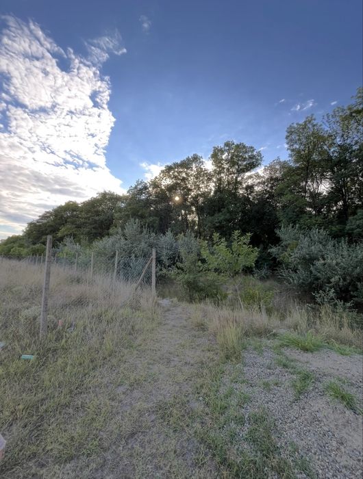 Teren intravilan padure Spataru