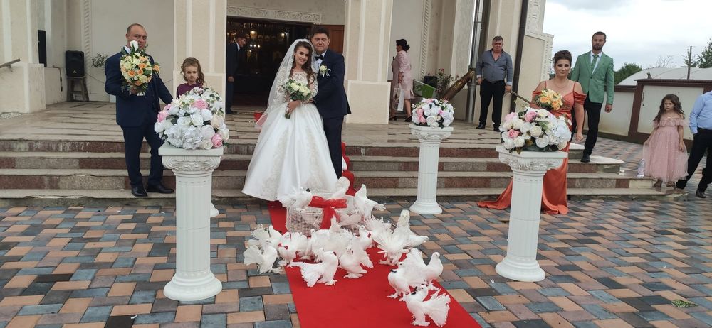 Închiriere porumbei albi pentru nunti, botezuri și alte evenimente,