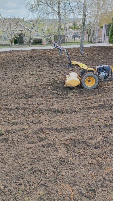 Nivelare îndreptare peluze, pregătire teren cu motocultor de 16cp