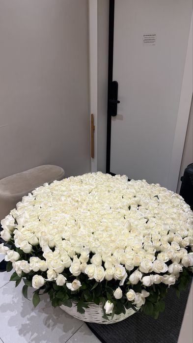 Букет 501 роза ,свежие голландия розы