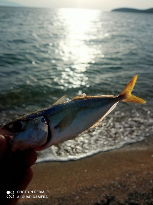 Пилкер джиг,pilker jig риболов