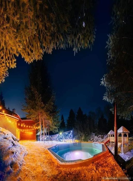 Cabană de vânzare( afacere la cheie)