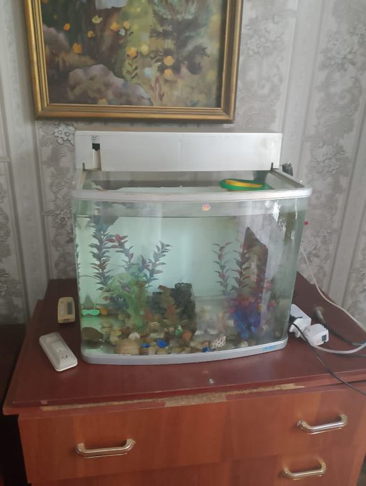 Срочно продам аквариум